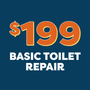 199 Toilet Repair