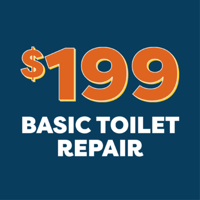 199 Toilet Repair