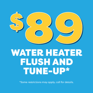 89 Water Heater Flush