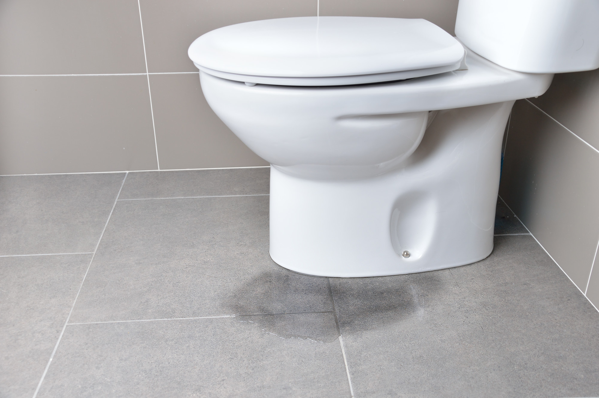 Causes of Toilet Leaks